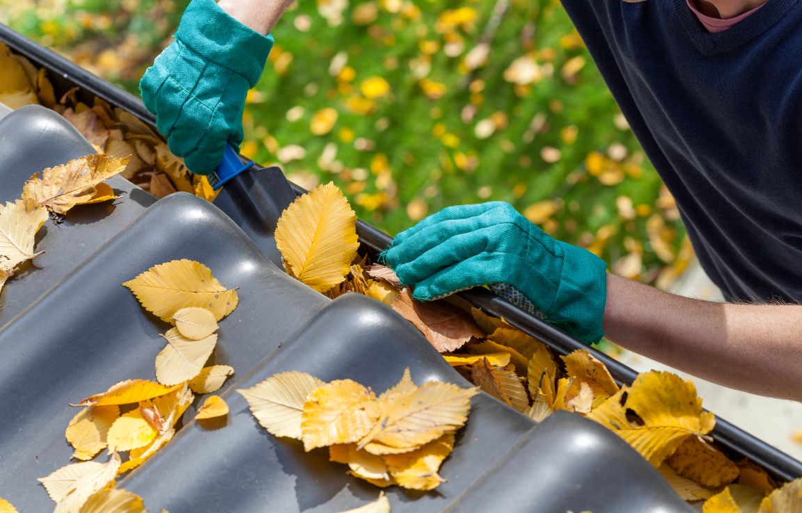 Gutter Cleaning Service 3