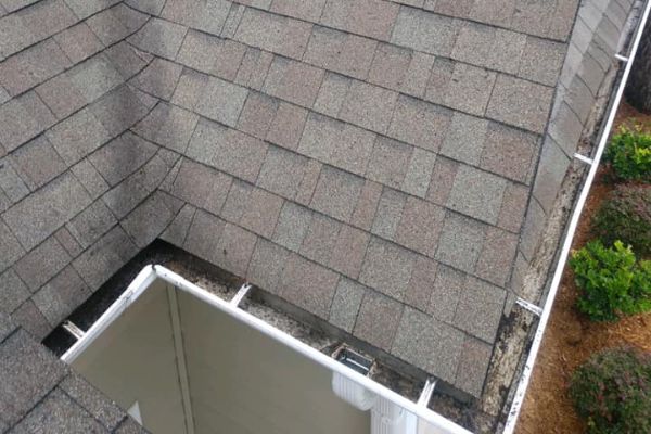 Roof and Gutter Cleaning Roof and Gutter Cleaning