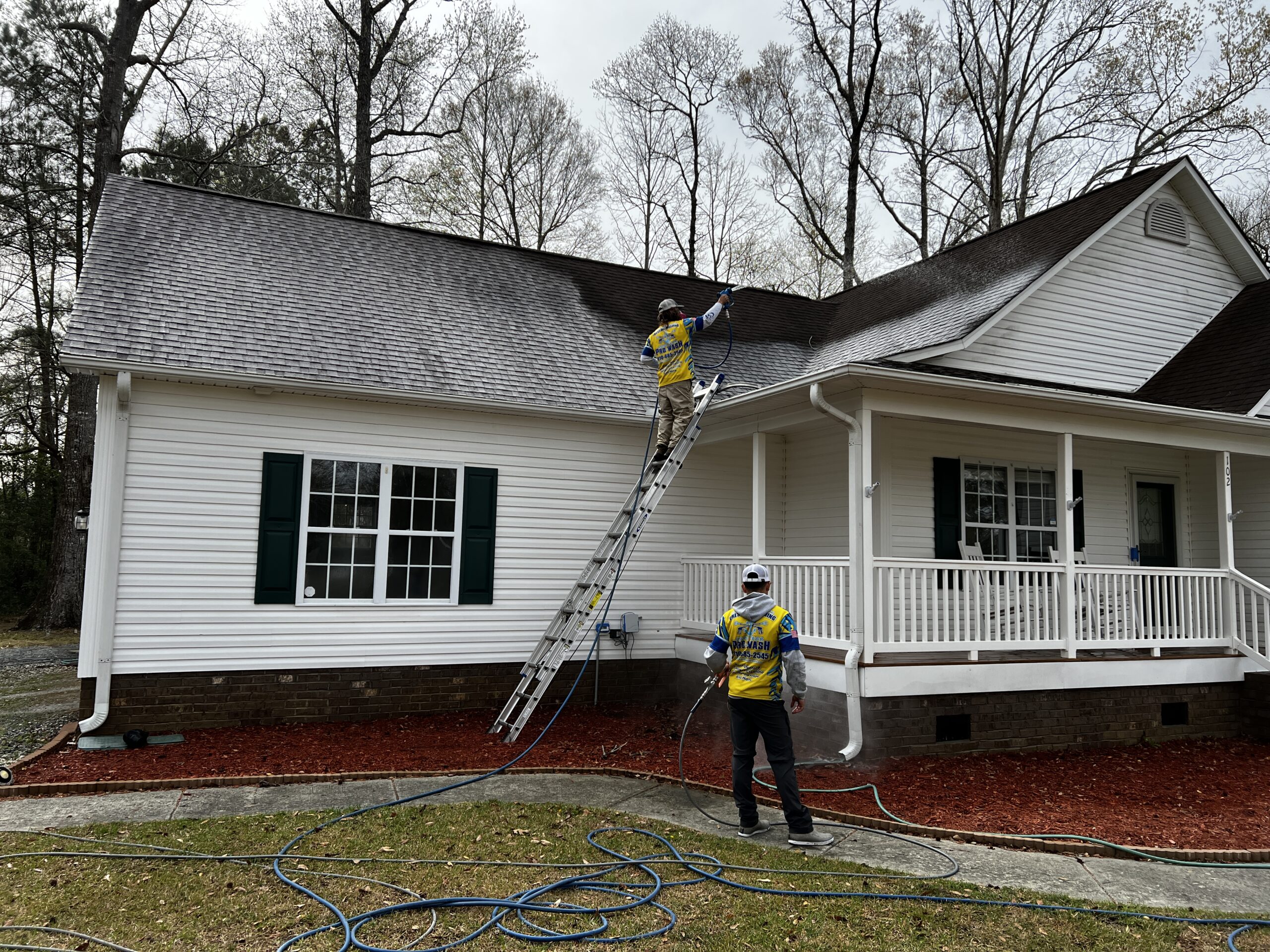 Roof Washing Services