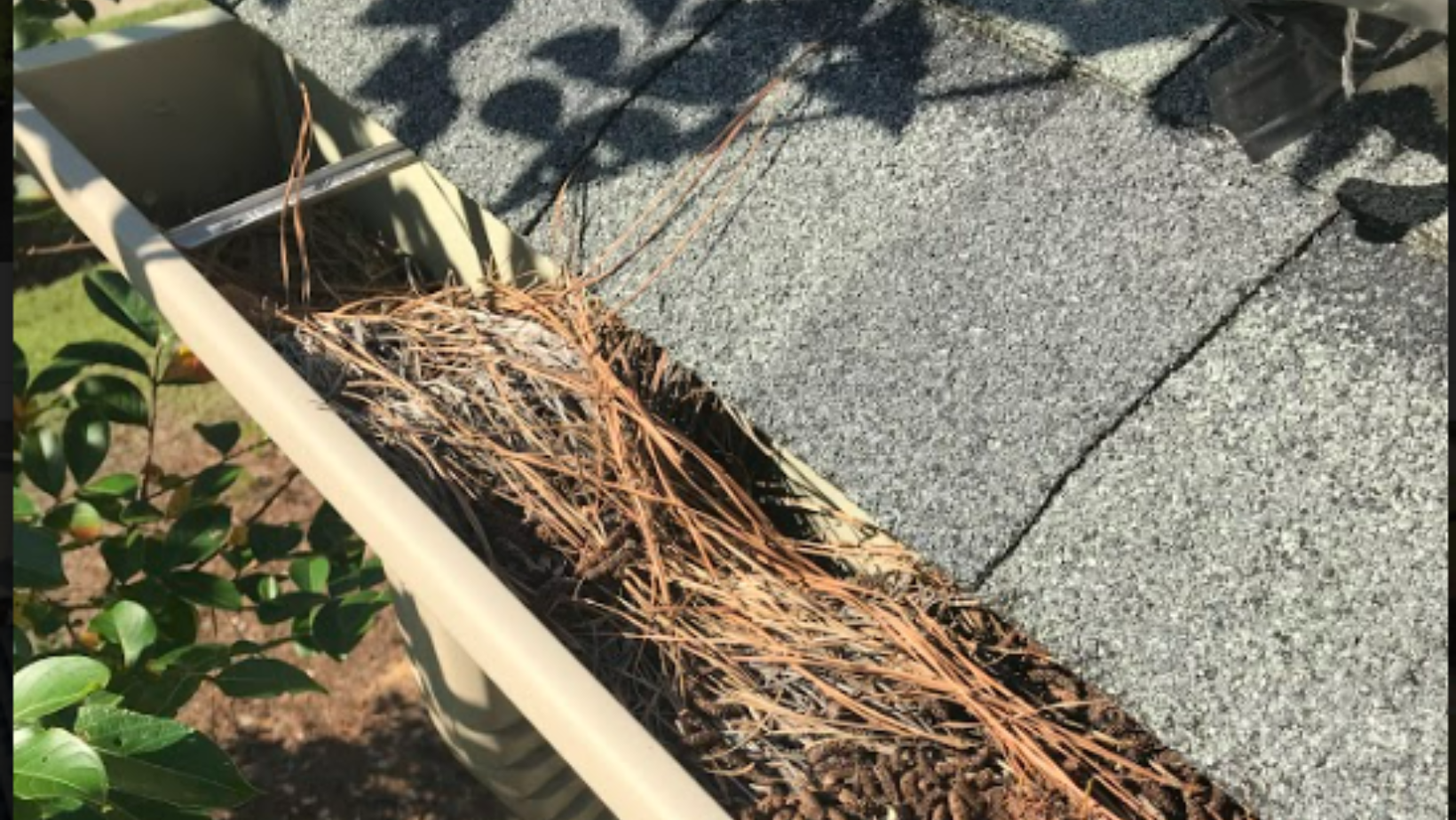 Residential Gutter Cleaning Shallotte NC